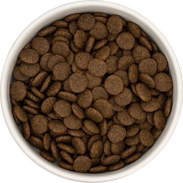 Grain Free Adult Dog 50% Angus Beef with Sweet Potato & Carrot Complete Dry Food Kibble